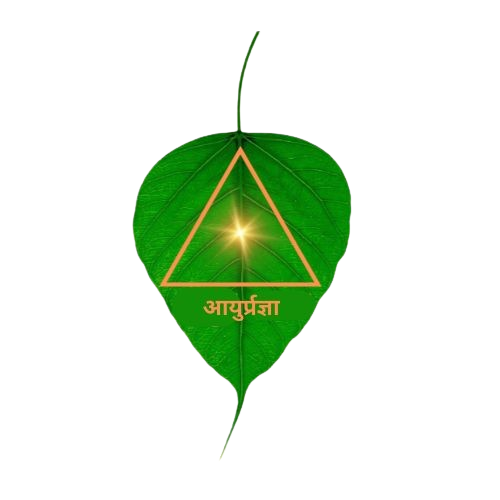 Dhamani logo